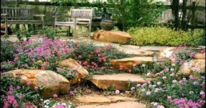 Conserving water by Smartscaping the yard