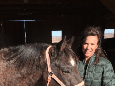 A Horse and His Faith: An Update on Houdini
