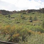 bg_c0d5061c170332a04b09879b9105741b