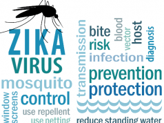 mosquito protection