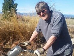 Town Arborist debuting a ‘fragrant mix’ this year