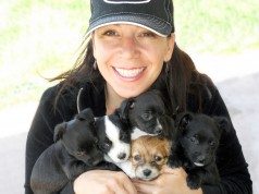 Fostering program gives hope to homeless pets