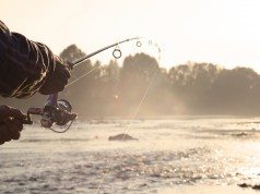 Tips for fishing