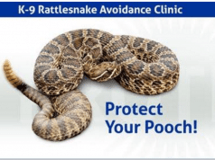 K-9 Rattlesnake Avoidance Clinic will help keep pooches and owners safe