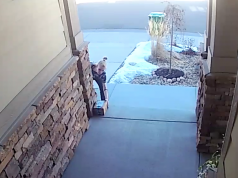 Castle Rock Porch Pirate