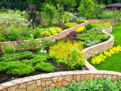 landscaping ideas spring 2020